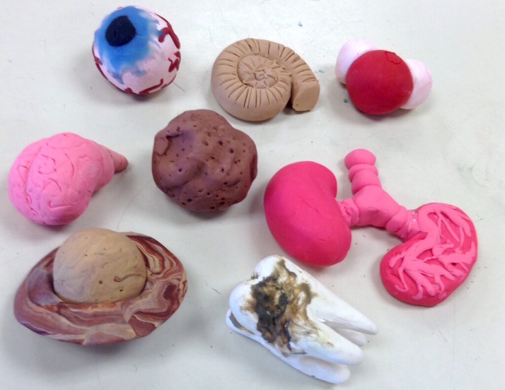 biological forms made from clay