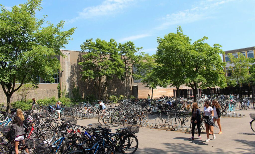 students' bikes