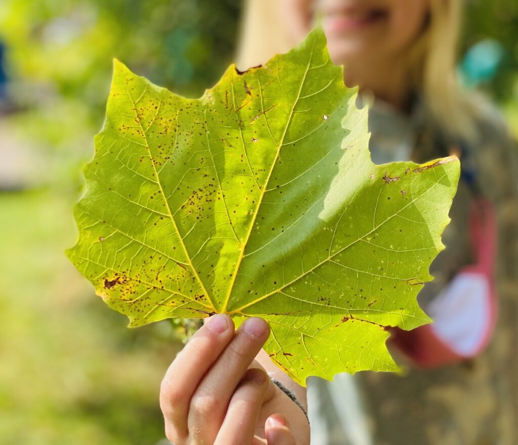 student holding leaf