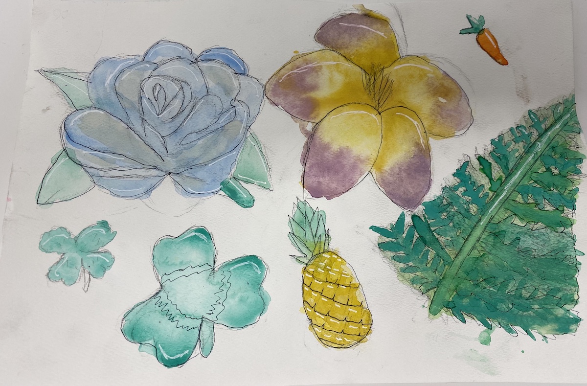 watercolor paintings and illustrations of flowers