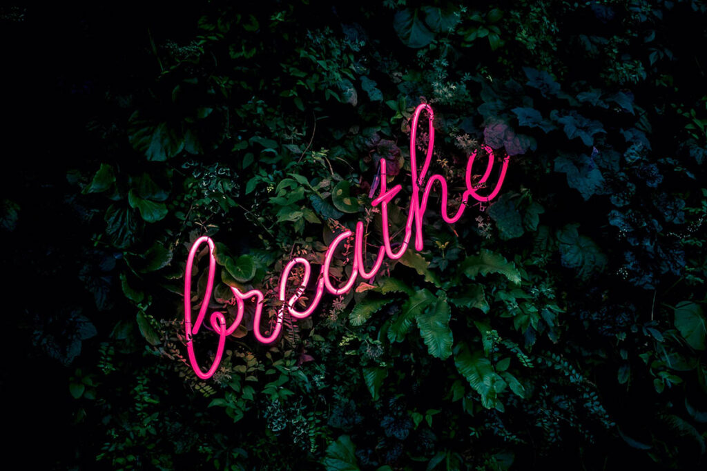 breathe pink lights