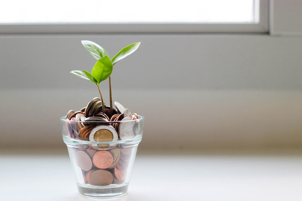 plant in coins